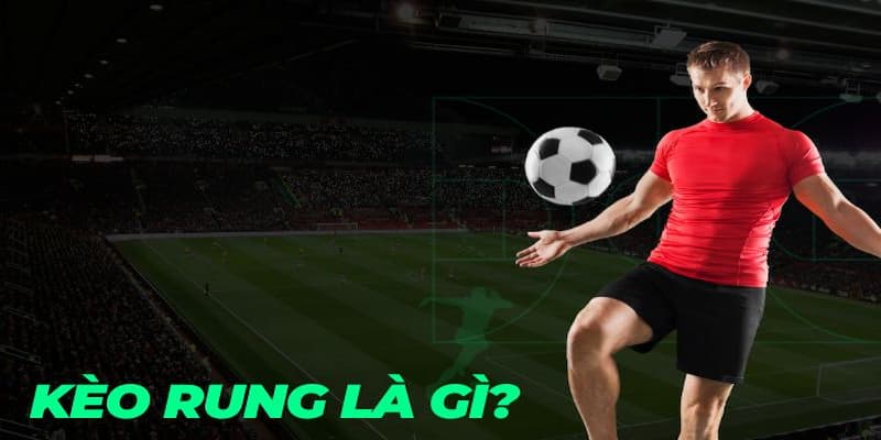 Phân loại các dạng kèo rung là gì?