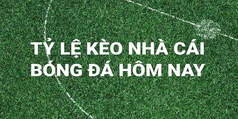 Soi kèo nhà cái